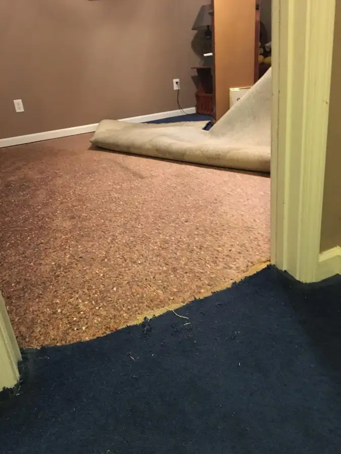 Carpet pad removal revealing water damage during Water Mitigation Services in Chester
