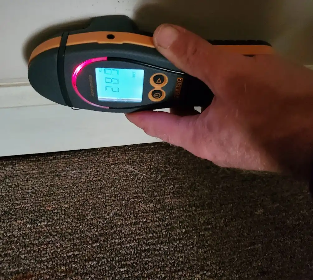 Moisture detection at baseboard during Mold Inspection & Testing in Chester
